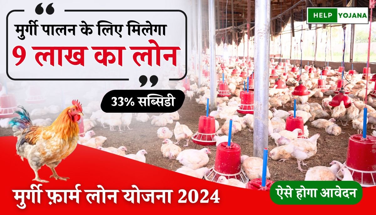 Poultry farm loan 2024